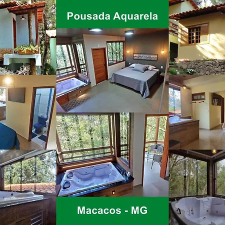 Pousada Aquarela - Macacos-2